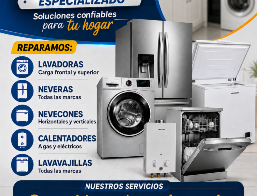 Mantenimiento lavadoras nevecones calentadores