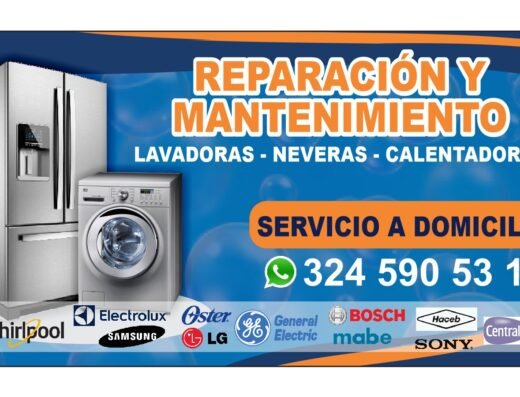 Técnico en lavadoras y electrodomésticos