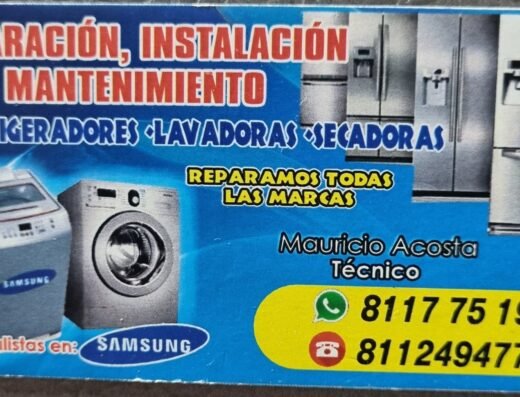 Asistencia en el Hogar